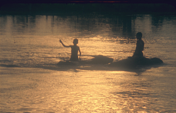 A scene from Laos (Photo: Cinema Guild)