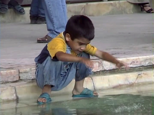 (Photo: The Film Society of Lincoln Center/Michael Almereyda)