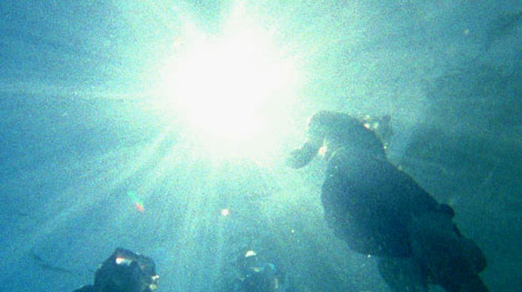 Swimmers in Barton Springs
Photo: Tom Taylor/The Cinema Guild